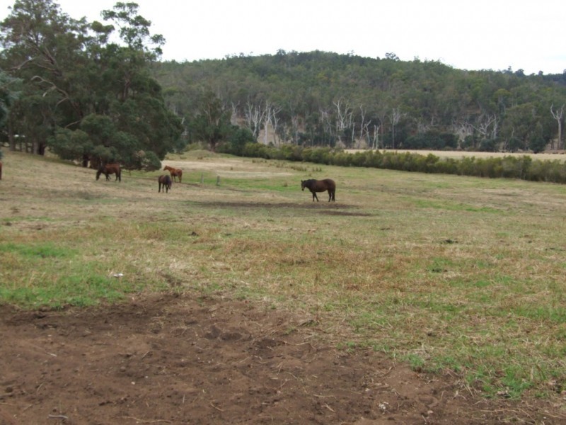 Lot 350,  Boyup Brook Road, Yabberup WA 6239