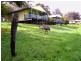 Lot 3,  Mailman Road, Kirup WA 6251