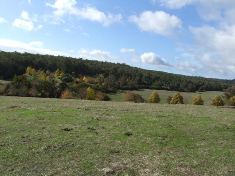 Lot 98,  Mailman Road, Brazier WA 6251