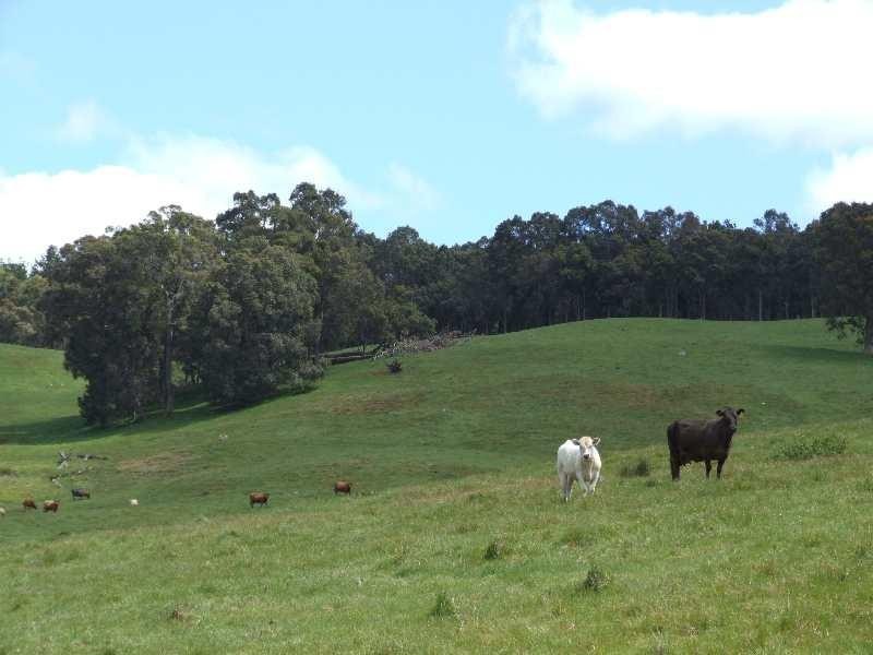 Lot 99,  Price Road, Brazier WA 6251