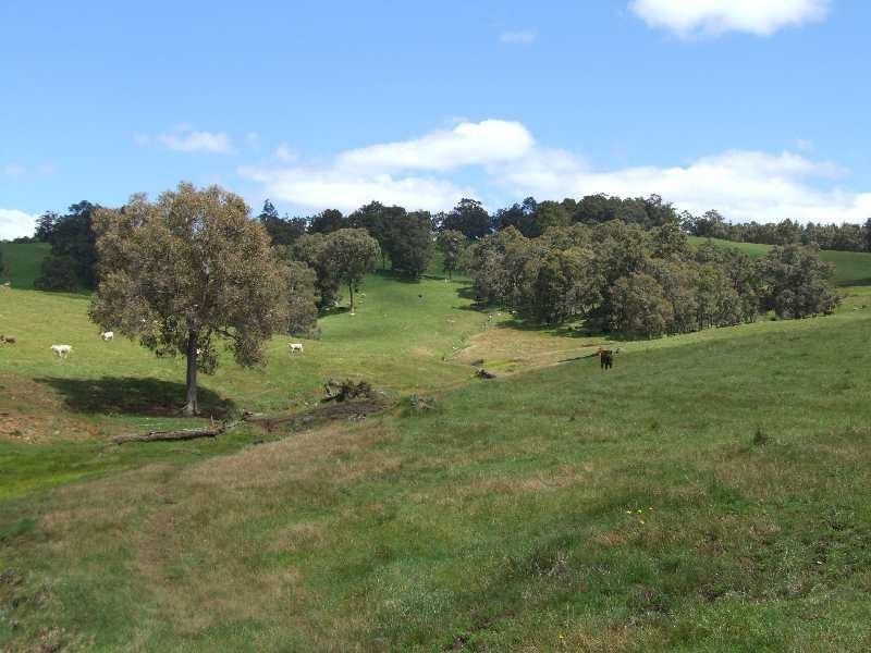 Lot 99,  Price Road, Brazier WA 6251