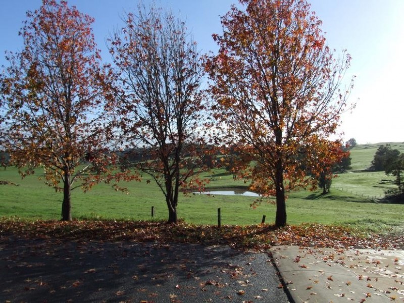 Kelly Street, Donnybrook WA 6239