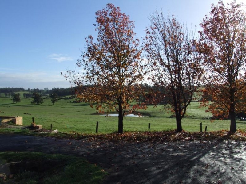 Kelly Street, Donnybrook WA 6239