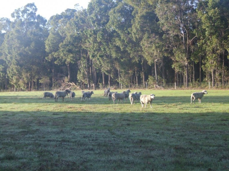 62 Brookhampton Rd, Brookhampton WA 6239