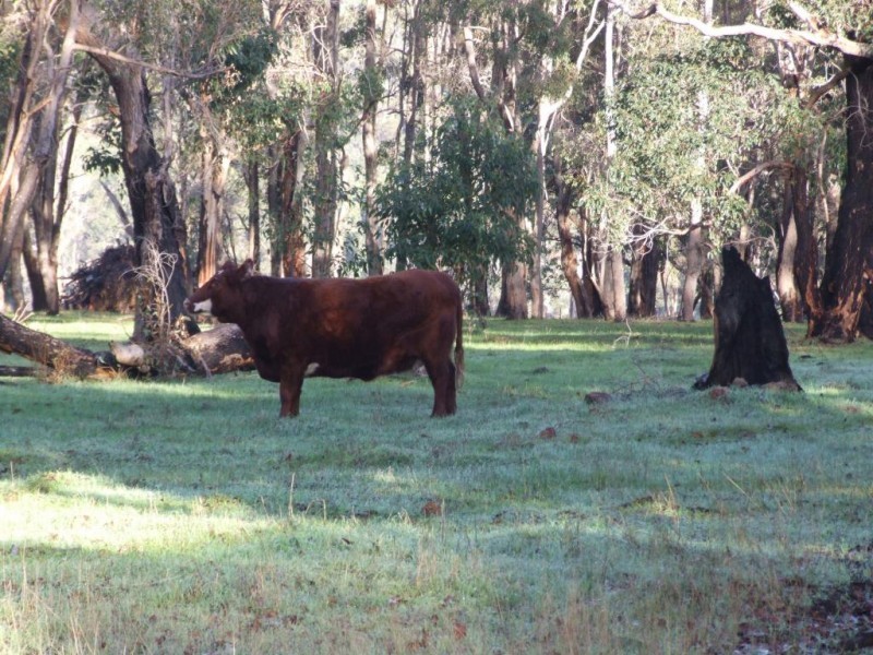 62 Brookhampton Rd, Brookhampton WA 6239