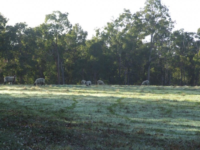 62 Brookhampton Rd, Brookhampton WA 6239