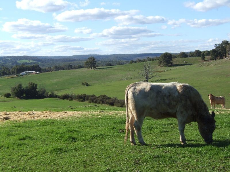 75 Charlton Road, Lowden WA 6240