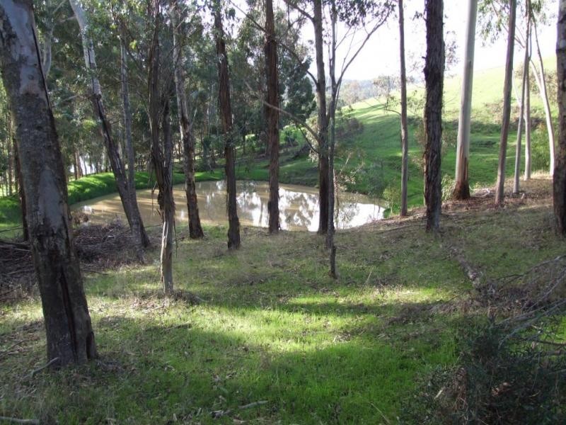 Lot 1,  Brookhampton Road, Donnybrook WA 6239