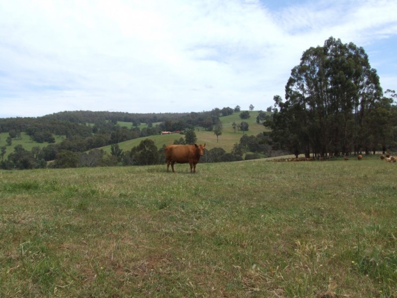 239 Glenarden Road, Southampton WA 6253