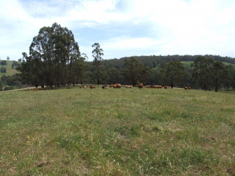 239 Glenarden Road, Southampton WA 6253