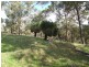 Lot 7,  Morrissey Road, Yabberup WA 6239