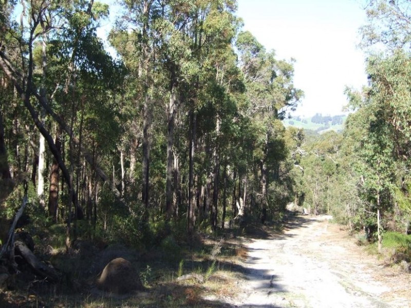 Lot 11,  Russell Road, Balingup WA 6253