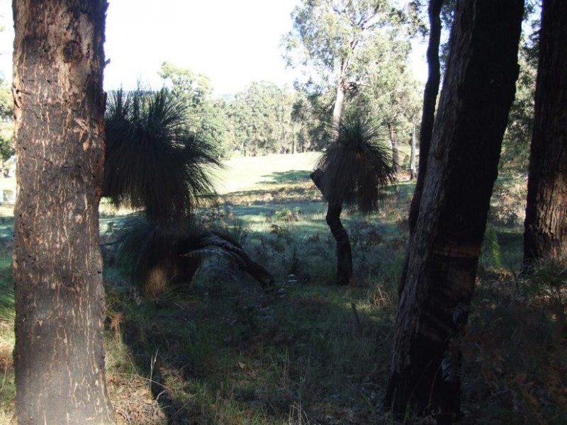 Lot 11,  Russell Road, Balingup WA 6253