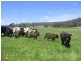 198 Chapman Road, Yabberup WA 6239