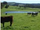 198 Chapman Road, Yabberup WA 6239