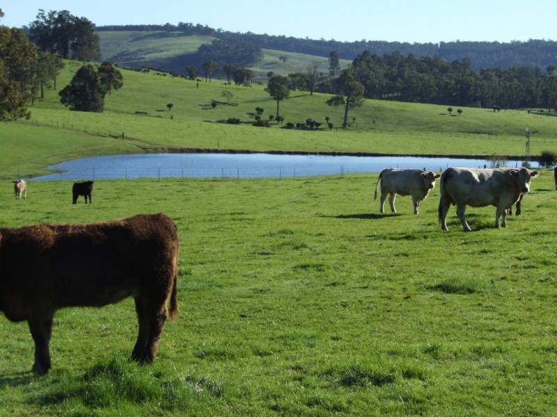 198 Chapman Road, Yabberup WA 6239