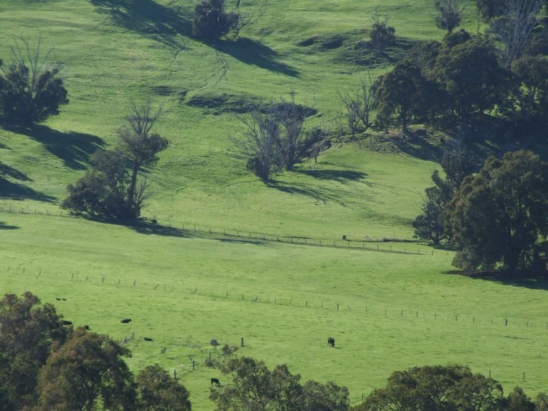 198 Chapman Road, Yabberup WA 6239