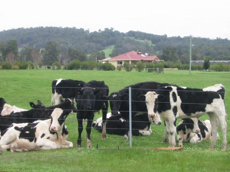 1985 Boyup Brook Road, Donnybrook WA 6239