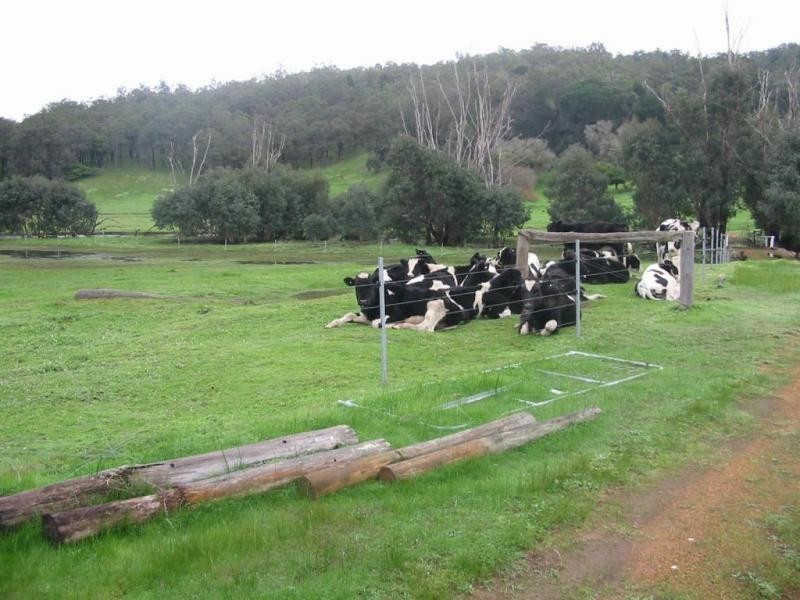 1985 Boyup Brook Road, Donnybrook WA 6239