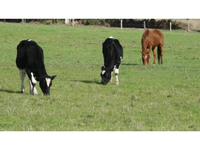 1985 Boyup Brook Road, Donnybrook WA 6239