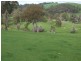 Lot 3325,  Goldfields Road, Donnybrook WA 6239