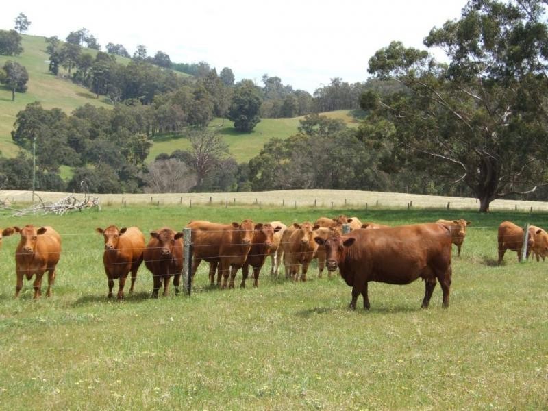 239 Glenarden Road, Donnybrook WA 6239