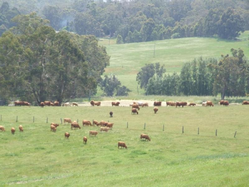 239 Glenarden Road, Donnybrook WA 6239