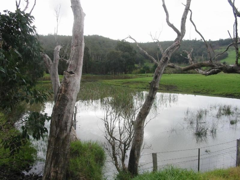 1985 Boyup Brook Road, Yabberup WA 6239