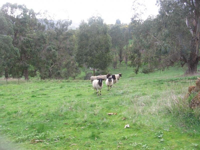 84 Bailey Heights, Balingup WA 6253