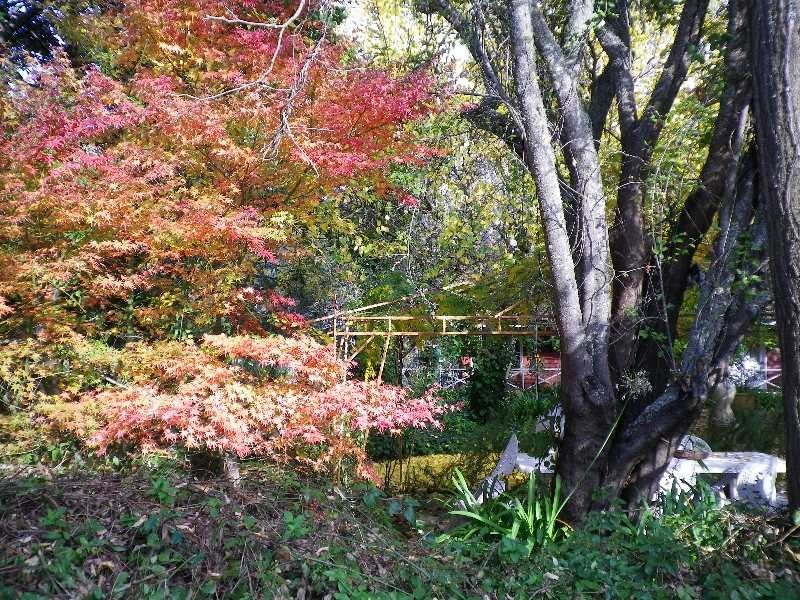 111 Balingup-Nannup Road, Balingup WA 6253