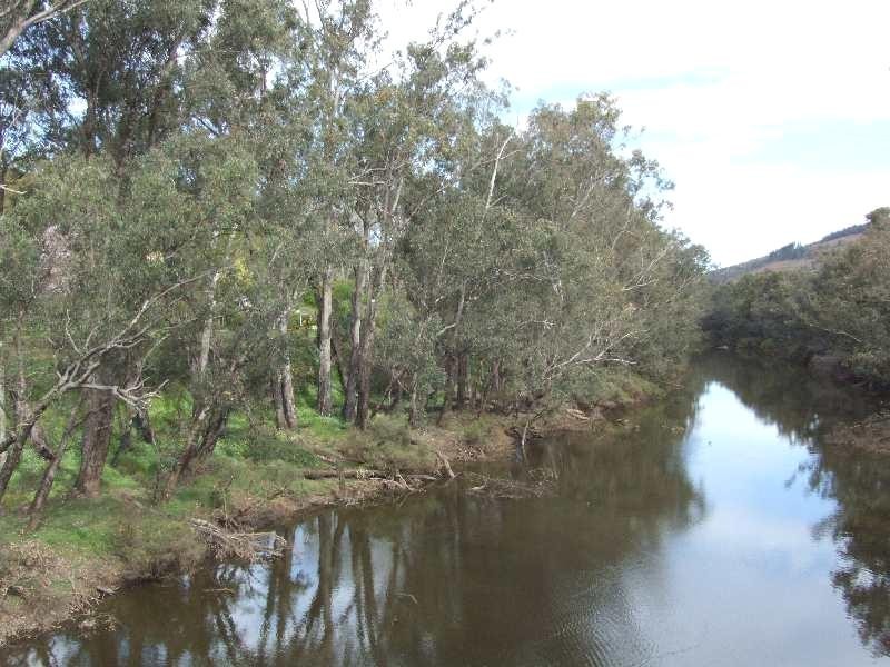 111 Balingup-Nannup Road, Balingup WA 6253