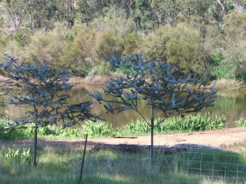 76 Montgomery Road, Brookhampton WA 6239