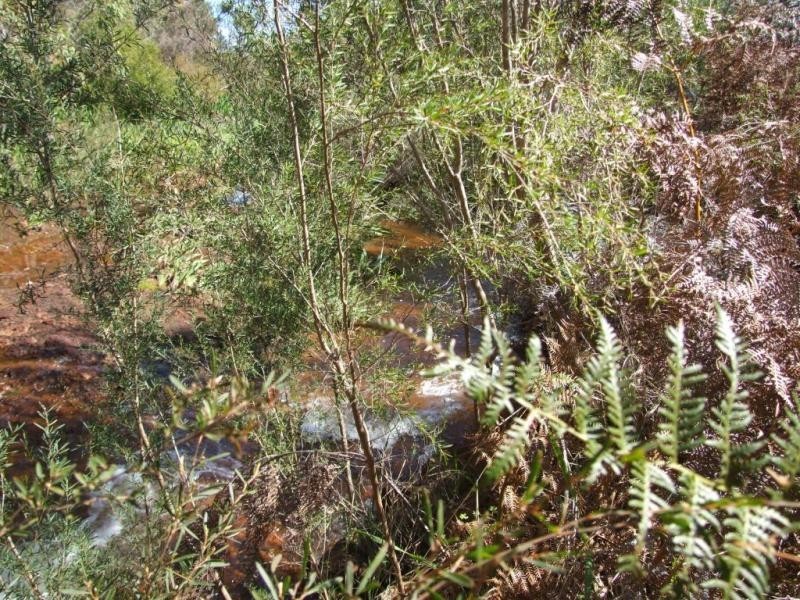 76 Montgomery Road, Brookhampton WA 6239