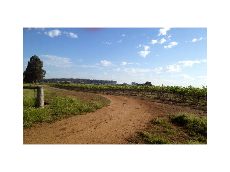 Lot 1, 898 Asplin Siding Road, Boyup Brook WA 6244