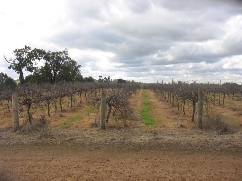 Lot 1, 898 Asplin Siding Road, Boyup Brook WA 6244