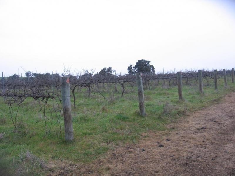 Lot 1, 898 Asplin Siding Road, Boyup Brook WA 6244