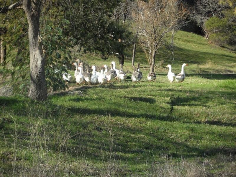 Lot 12,  South Western Highway, Balingup WA 6253