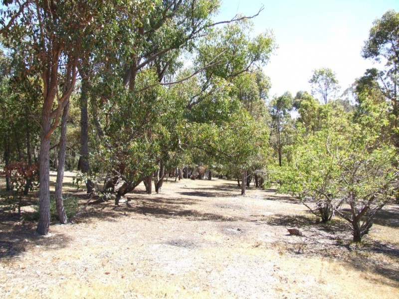 115 Marshall Road, Argyle WA 6239