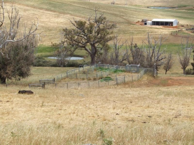 Lot 500,  Upper Capel Road, Brazier WA 6251