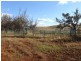 Lot 500,  Upper Capel Road, Brazier WA 6251