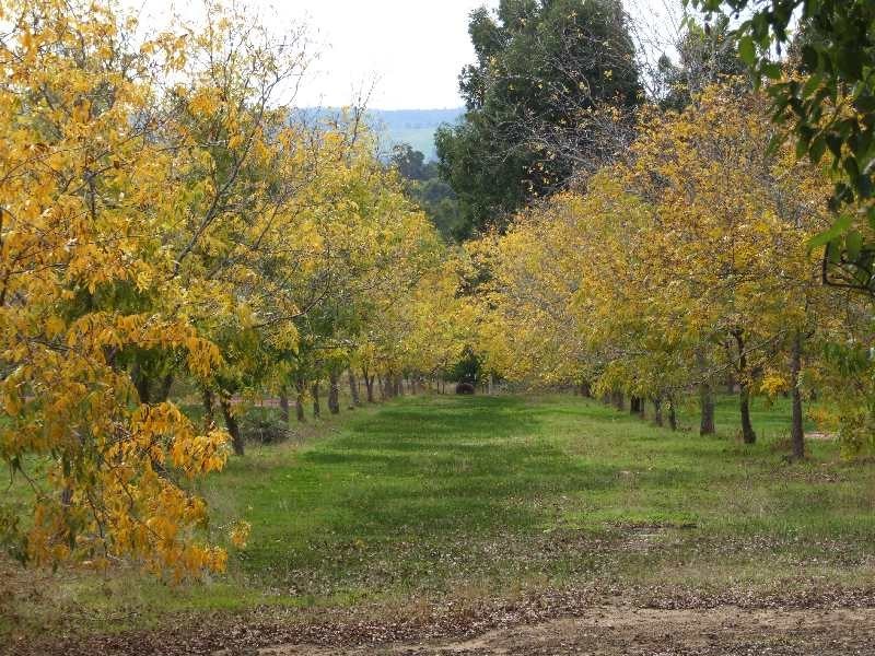 183 Wade Road, Brookhampton WA 6239