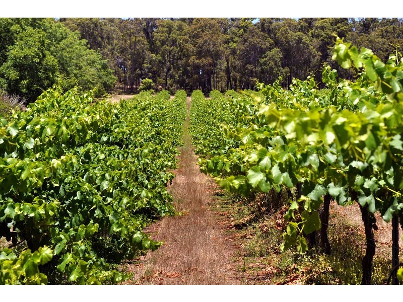 183 Wade Road, Brookhampton WA 6239