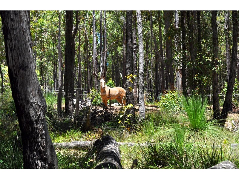 183 Wade Road, Brookhampton WA 6239