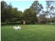 111 Balingup -Naanup Rd, Balingup WA 6253