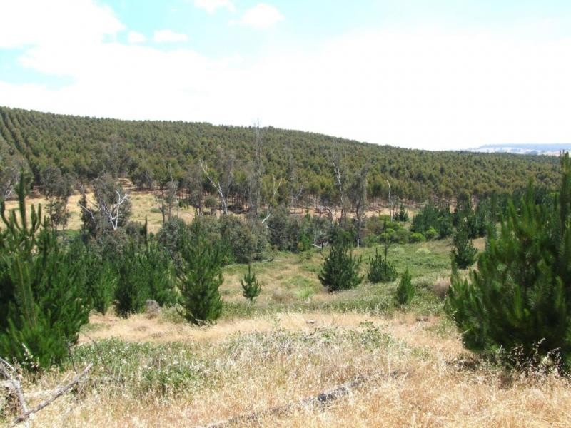 7974 Bill Baldock Drive, Hester Brook WA 6255