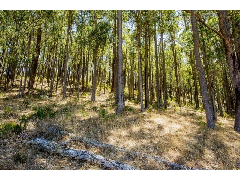 94 Tassone Road, Upper Capel, Donnybrook WA 6239