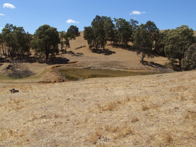 59 Little Road, Thomson Brook WA 6239