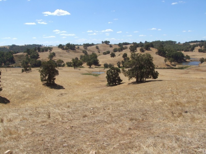 59 Little Road, Thomson Brook WA 6239