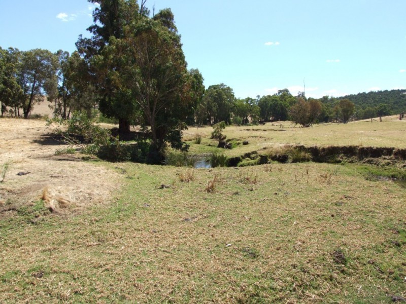 59 Little Road, Thomson Brook WA 6239