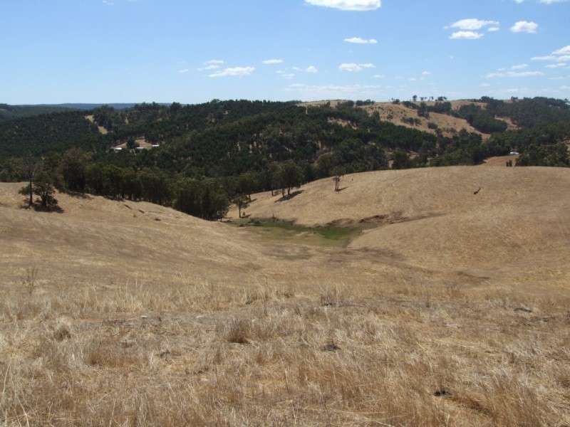 59 Little Road, Thomson Brook WA 6239